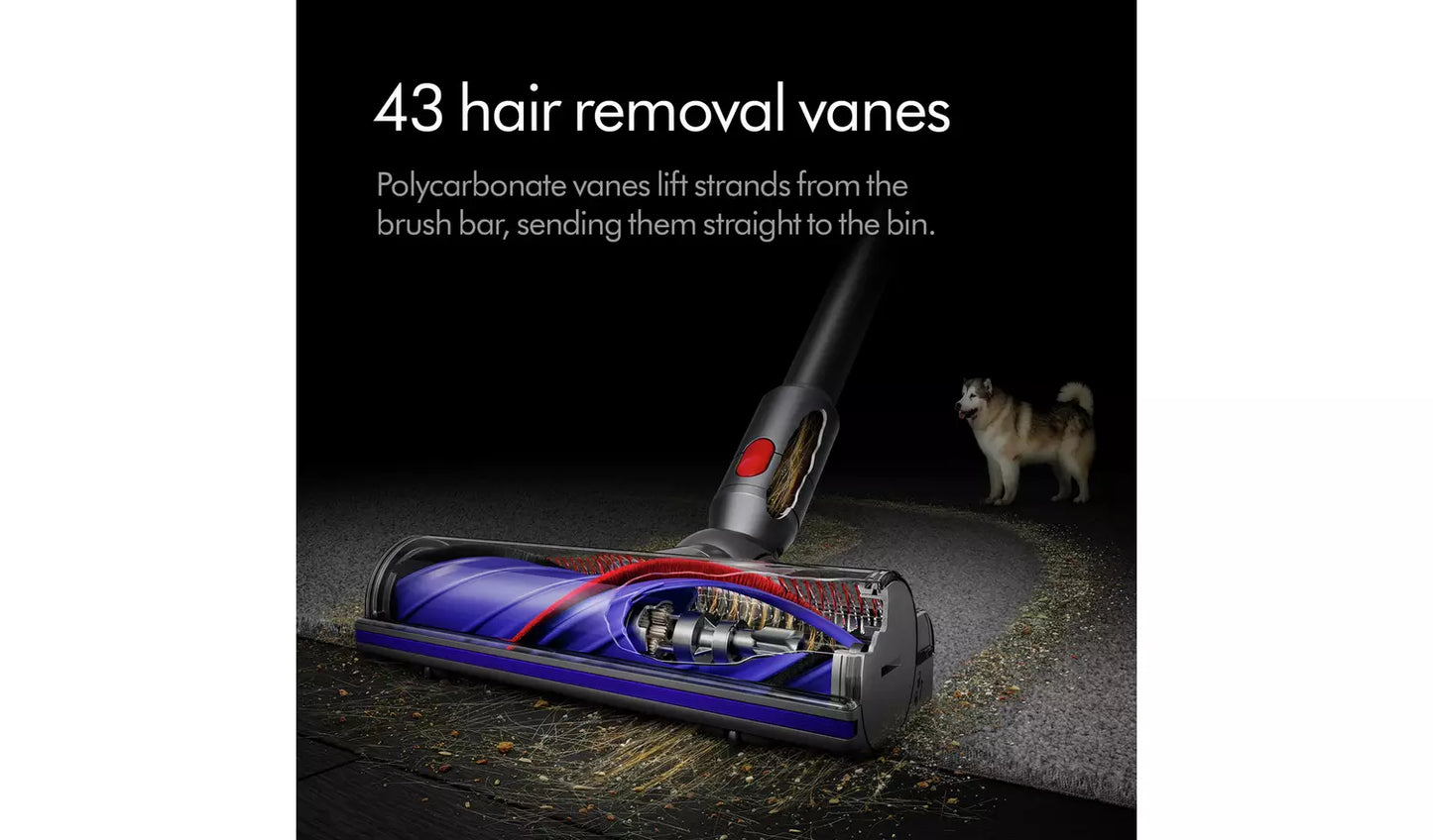 Dyson V10 Absolute Cordless Vacuum Cleaner Renewed